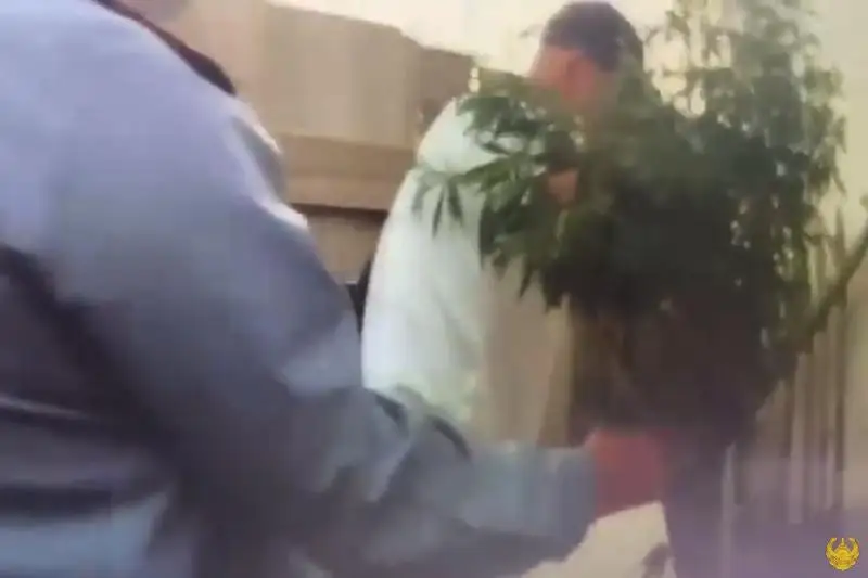 Опиумный мак выращивал житель Атырауской области