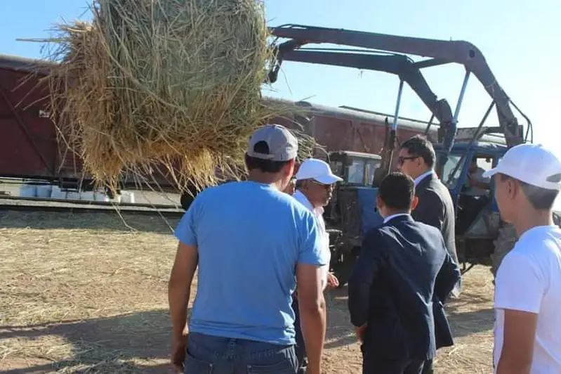 Атыраусцы отправляют корма в Мангистаускую область