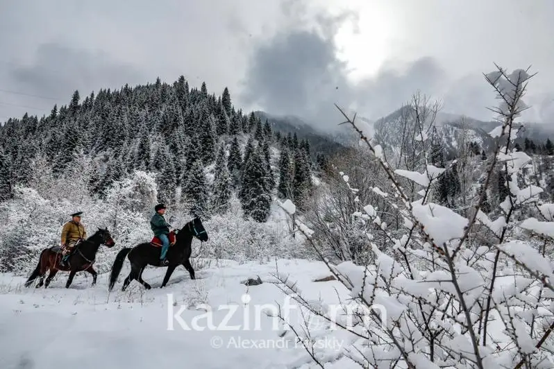 Как создают «Летопись природы» в Иле-Алатауском нацпарке