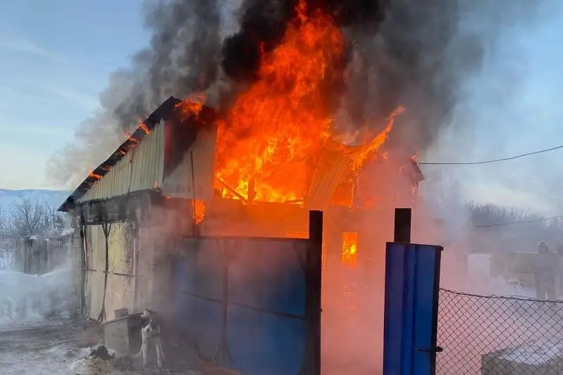 В ВКО при пожаре в гараже спасены животные