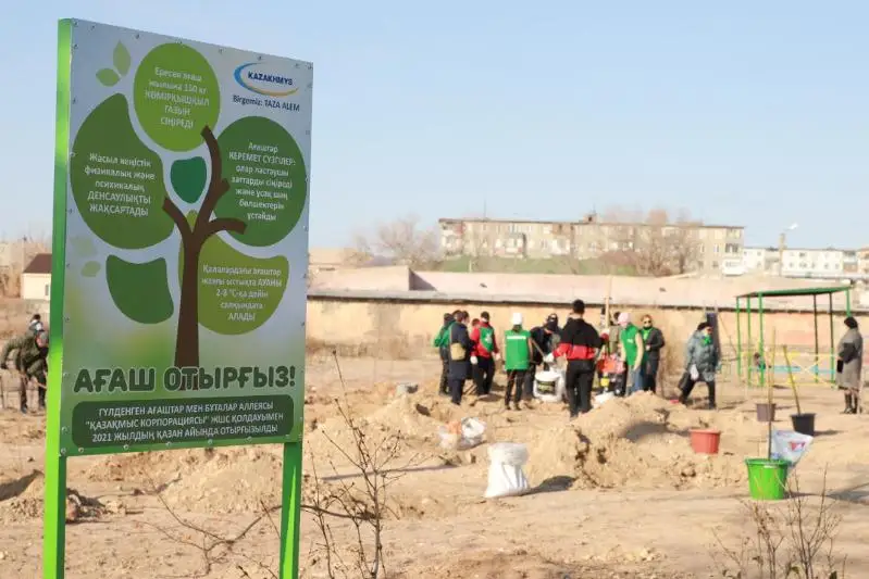 500 саженцев цветущих деревьев и кустарников украсили школы Балхаша и Жезказгана