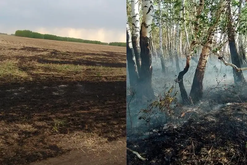 В лесах Костанайской области сохраняется IV класс пожарной опасности