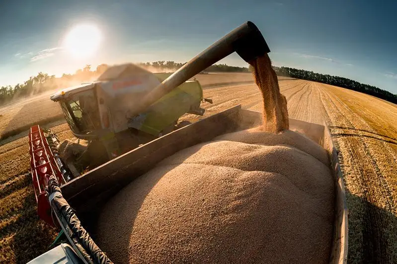 В связи с засухой в Мангыстау поставляют корма по льготной цене