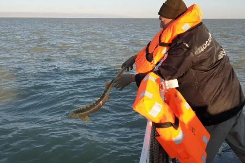 56 нарушителей границы задержали морские пограничники