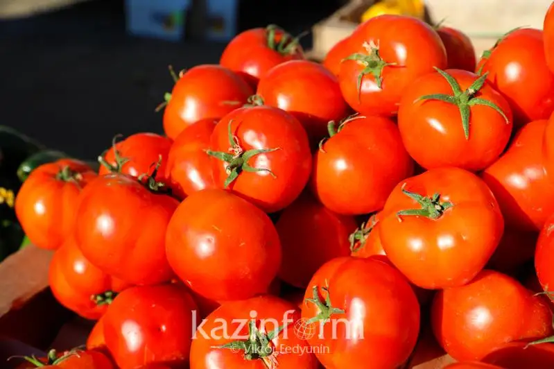 80% поставляемого в городскую торговлю продуктов производят ЛПХ и КХ - Минсельхоз