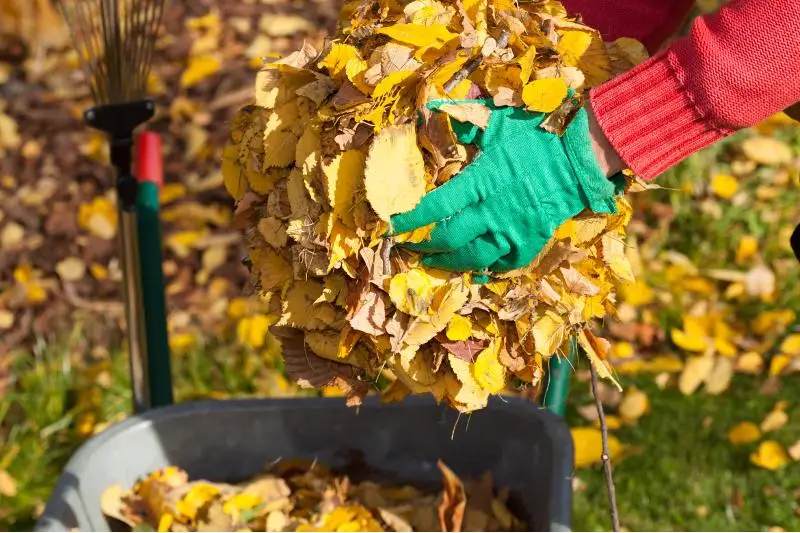 Информацию о «принудительном» субботнике для учителей прокомментировали в акимате Семея