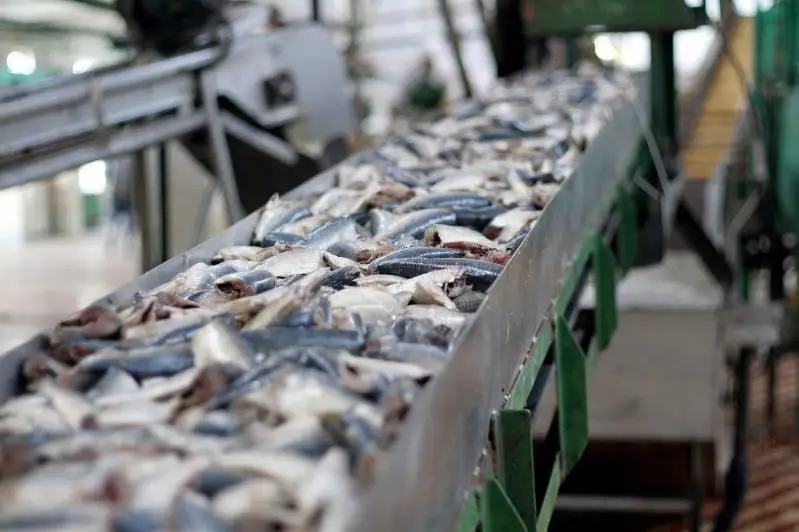 Рыбоперерабатывающее предприятие открылось в Мангистауской области