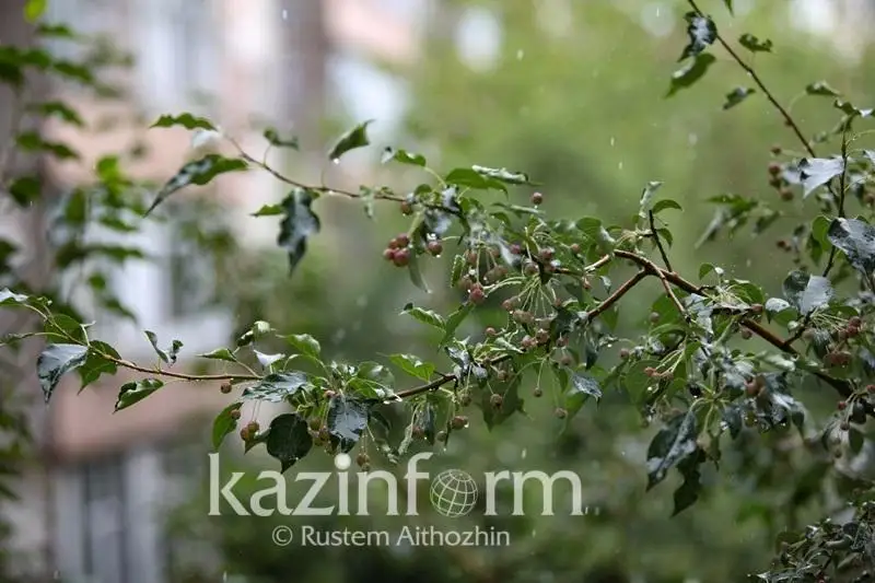 Дожди и заморозки обещают в сентябре синоптики СКО