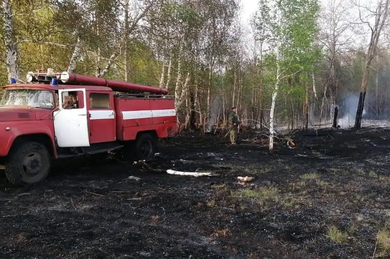 Возгорание в лесу произошло из-за сломанного КамАЗа в Костанайской области