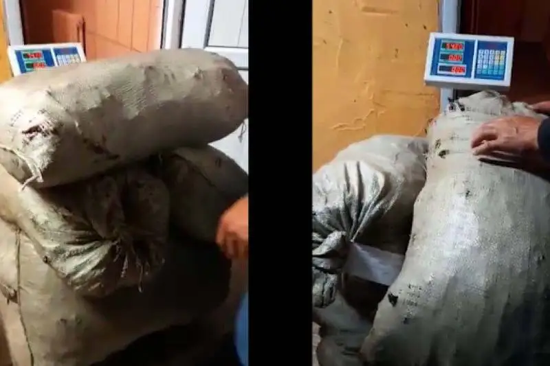 Краснокнижных птенцов и почти полтонны красного корня изъяли у браконьера в Алматинской области