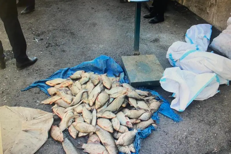 Более 100 кг рыбы изъяли у браконьеров в Туркестанской области