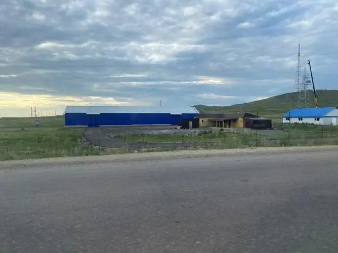 Рынок для продажи живого скота откроют в ВКО