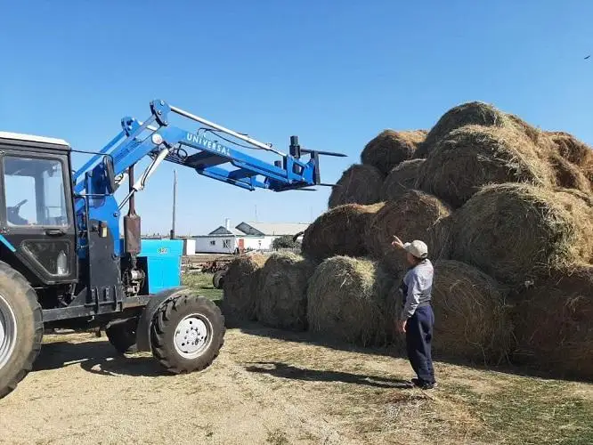 Хороший урожай льна и зерновых ожидают в Карагандинской области