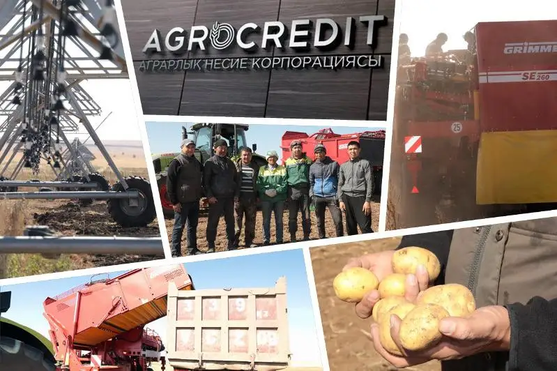 Льготное кредитование под 6% годовых – доступная реальность для казахстанцев