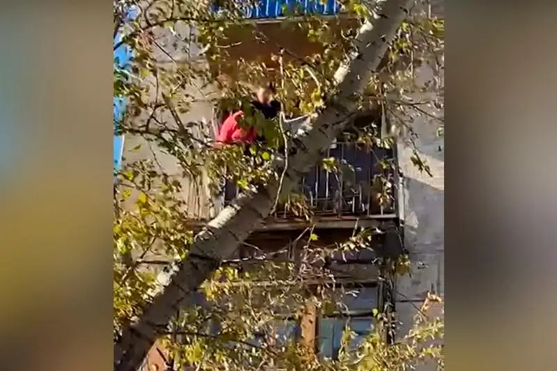 Женщина выпала с балкона четвертого этажа в Рудном