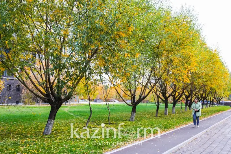 Теплый октябрь: обновлены температурные рекорды в Казахстане