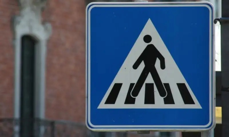 Соблюдать ПДД призвали пешеходов в столице