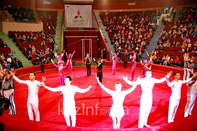 Алматылықтар циркте көгершіндердің ерекше қасиетіне тәнті болды