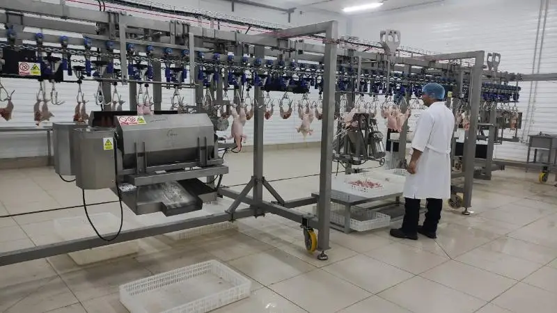 Новая птицефабрика заработала в Акмолинской области