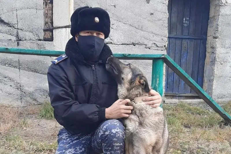 Служебная собака помогла раскрыть кражу в Павлодарской области