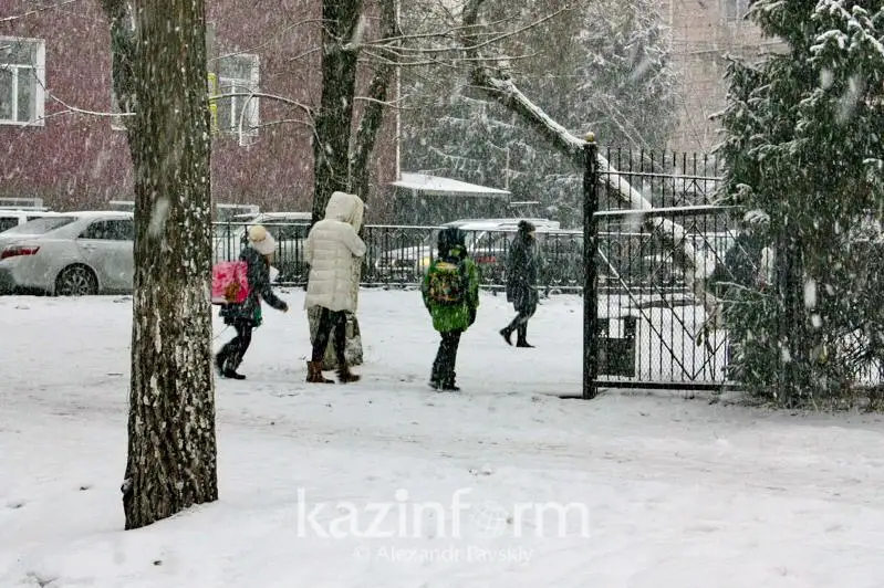 Сильный снег ожидается в Алматы: ДЧС обратился к жителям