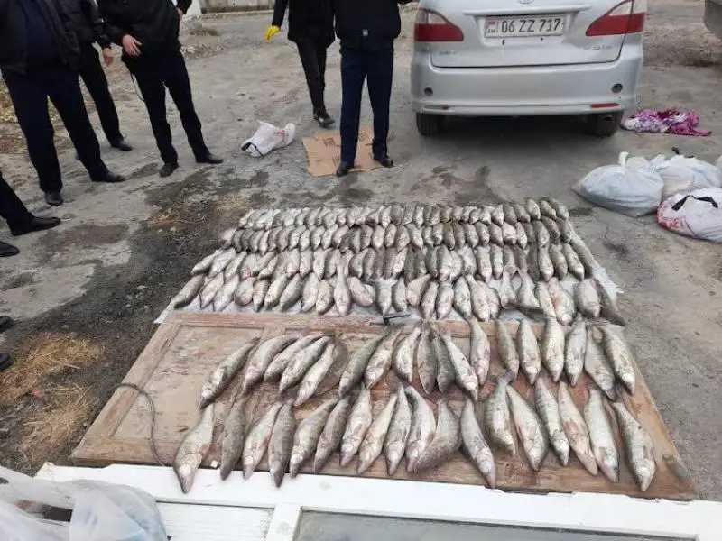 Атырау облысында браконьерден 400 келіге жуық балық тәркіленді