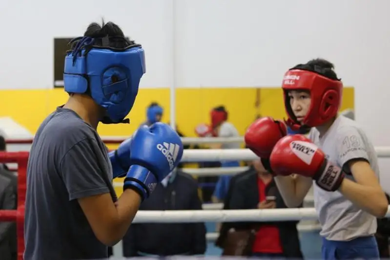 Для подушевого финансирования кружков и секций разработана информационная система в РК