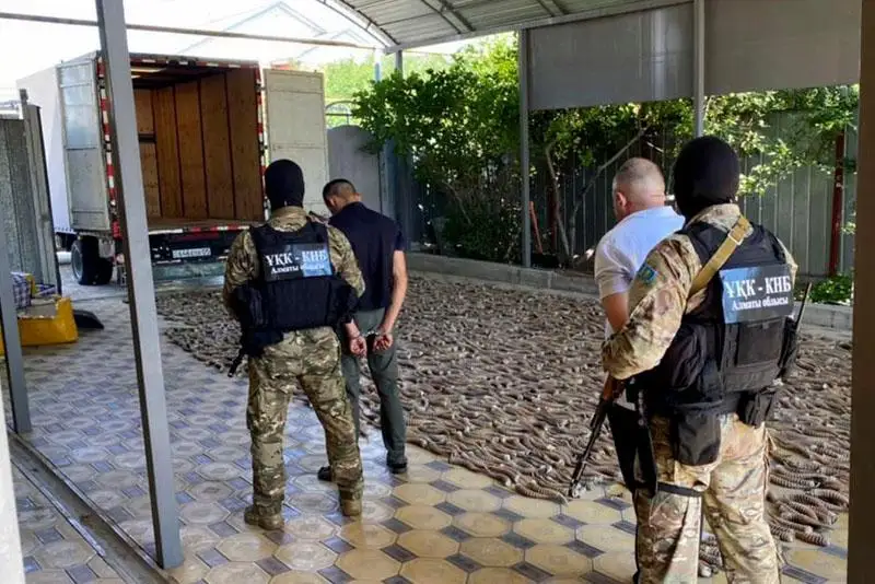 700 кг сайгачьих рогов пытались вывезти контрабандой из Казахстана в Китай