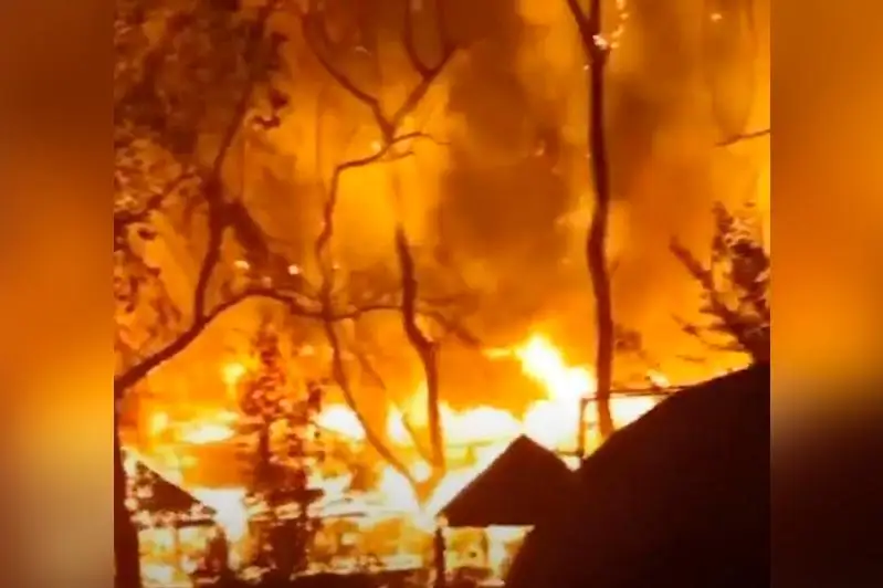 Пожар в районе Президентского парка в Алматы тушили 50 человек