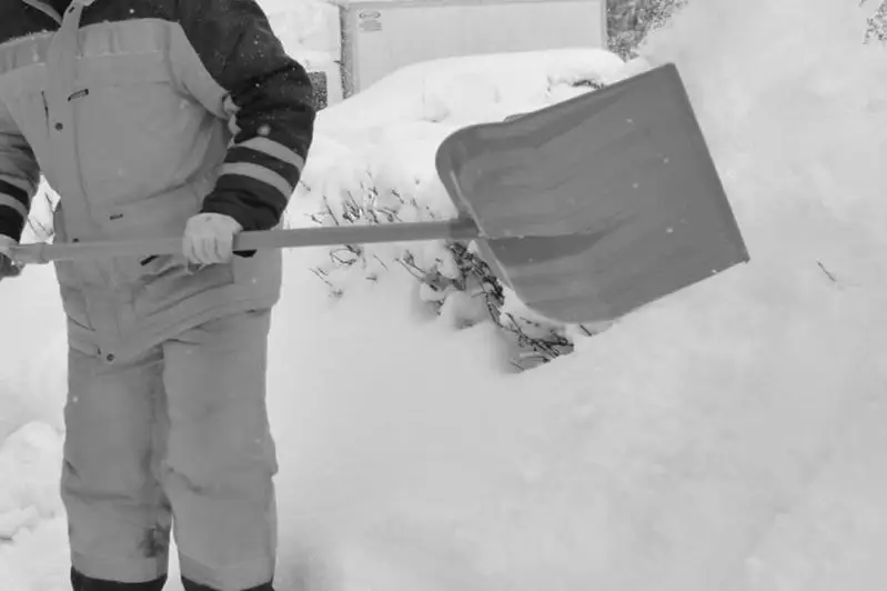 Двое убиравших снег рабочих погибли на дороге в СКО