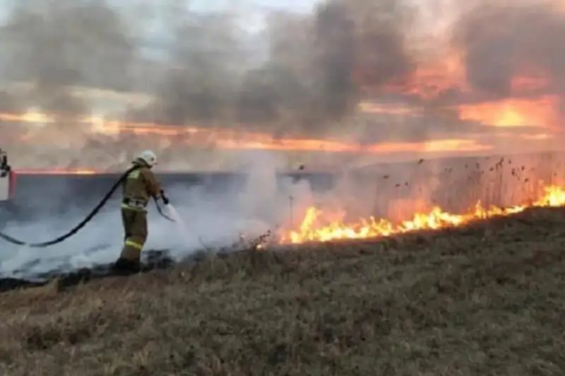 Степной пожар почти сутки тушили в Костанайской области