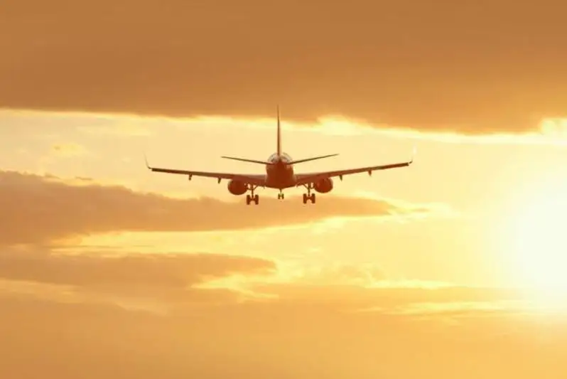 Генпрокуратура Узбекистана назвала причины крушения самолета ВВС Афганистана