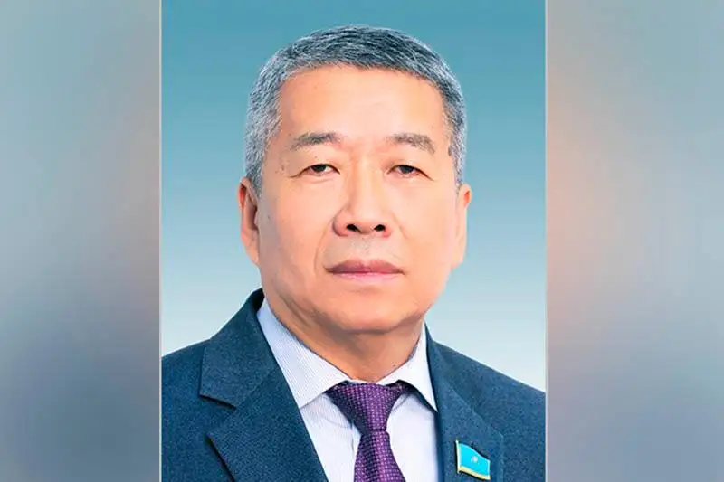 Мы за инициативы Президента - член АНК