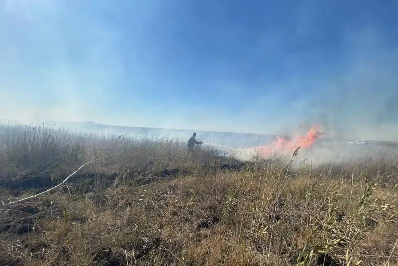 Пожар вспыхнул в природном резервате «Ак Жайык» в Атырау