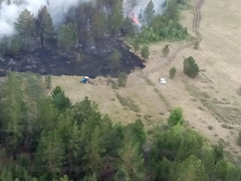 Пять очагов возгорания локализованы в природном резервате «Ертис орманы»