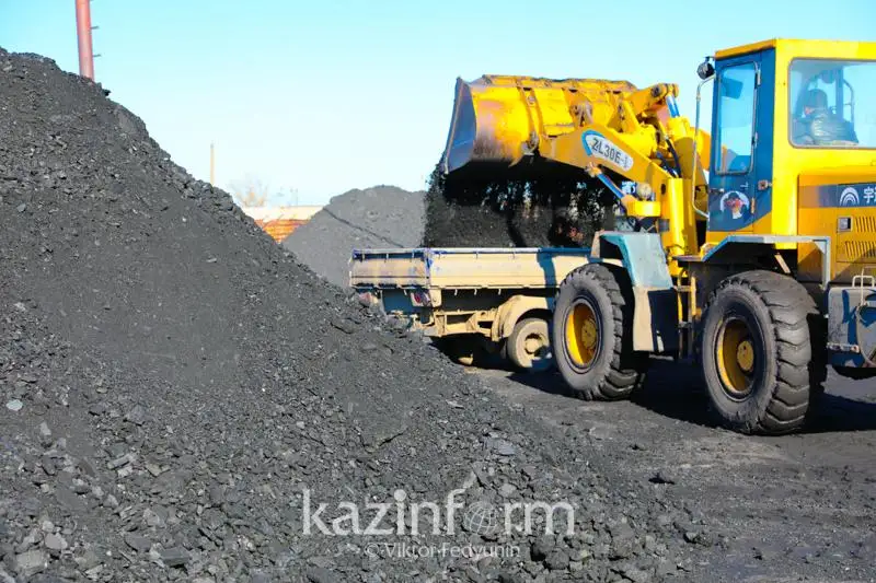 Qazaqstan kómirinen farmatsevtıkalyq jáne hımııalyq ónimniń 300-ge jýyq túri óndiriledi