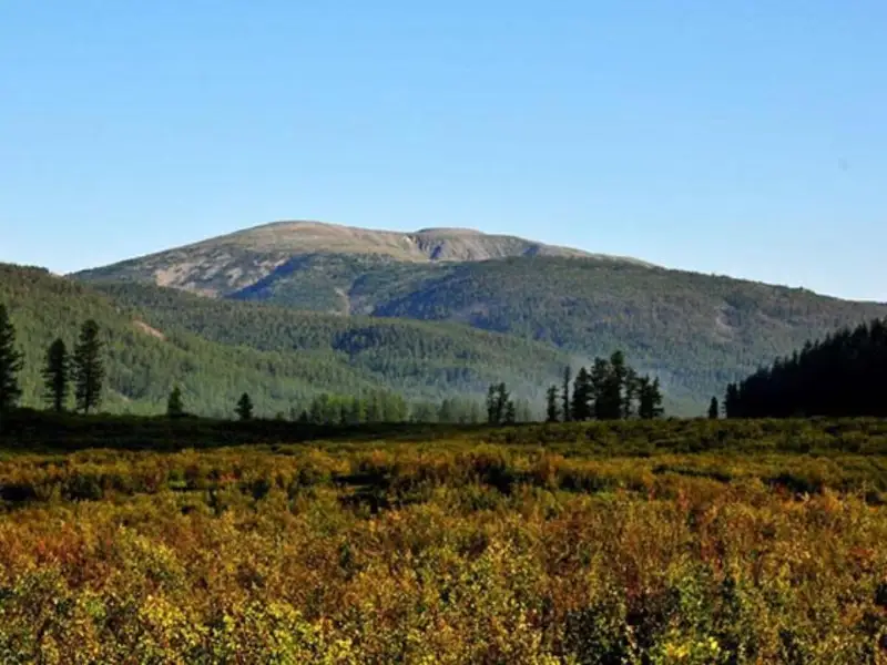 شىڭعىس حاننىڭ مۇردەسى جەرلەنگەن دەپ  ايتىلىپ جۇرگەن «ءتاڭىر وباسى»  كەشەنىنە بارىپ كەلدىم- قارجاۋباي سارتقوجا ۇلى