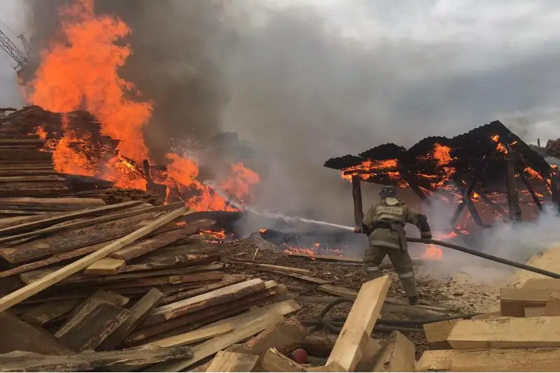 Пожар на территории пилорамы произошел в Семее