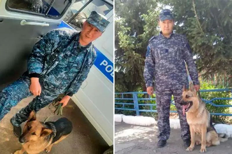 Служебные собаки помогли раскрыть свыше 180 преступлений в Акмолинской области