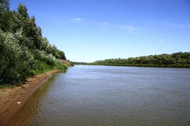 В 2021 году выявлены нарушения на 3 700 водных объектах, где запрещена хозяйственная деятельность