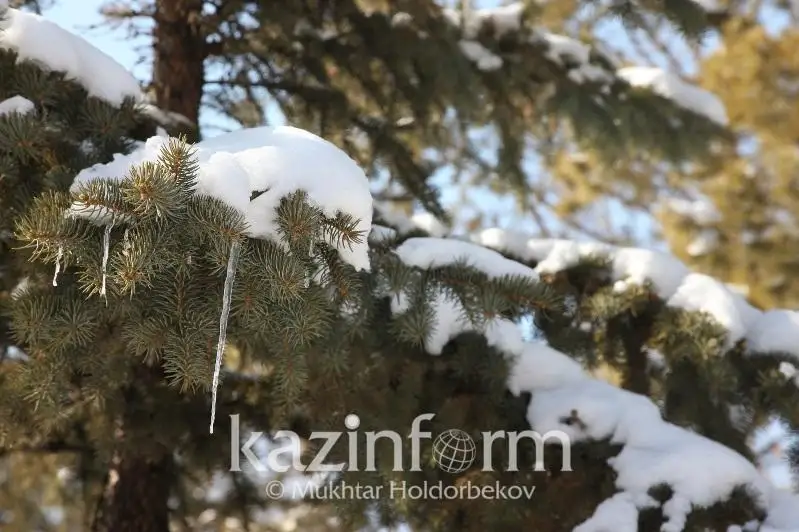 25-градусные морозы сменят теплые дни в СКО