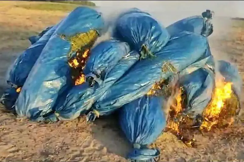 377 наркопреступлений выявили в Жамбылской области с начала года