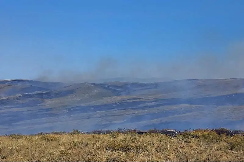 В Курчумском районе ВКО ликвидировано возгорание травы