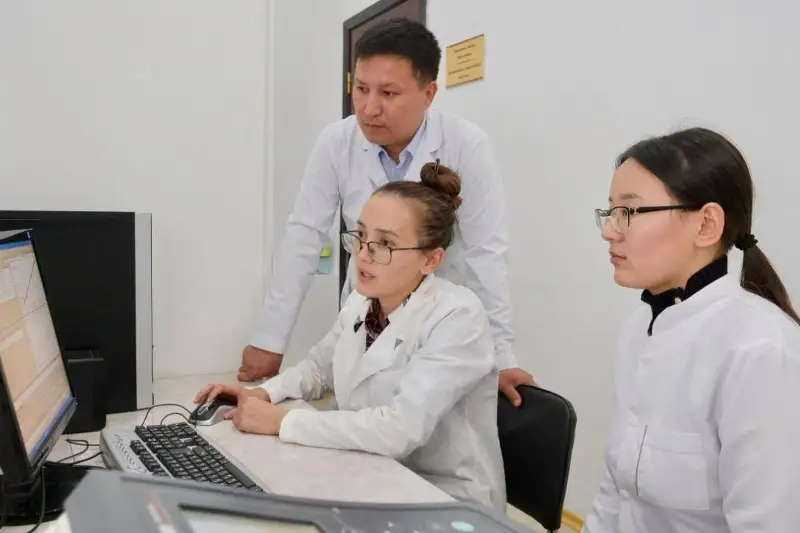 Технологию получения диоксида кремния из рисовой шелухи разработали кызылординские ученые