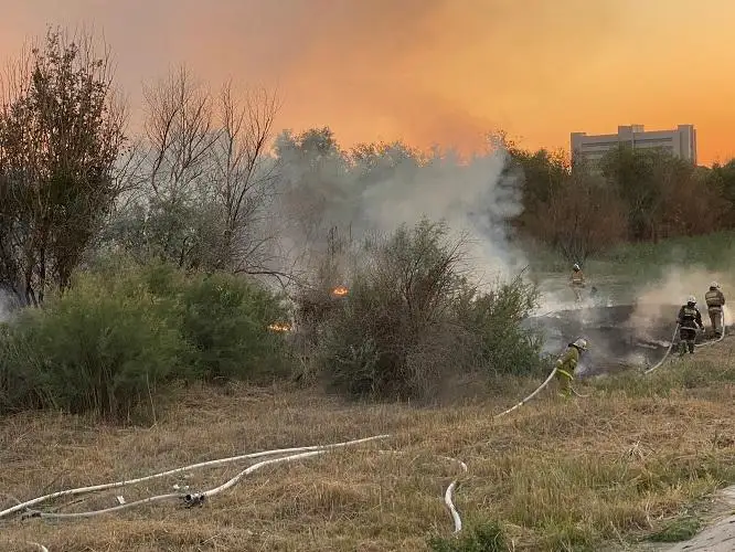 Деревья и тростник горят на Урале в Атырау