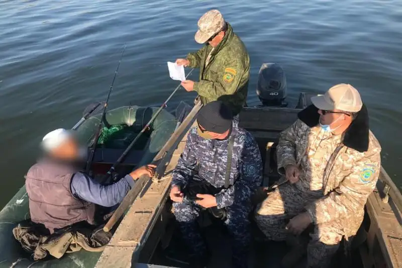 Свыше 100 кг рыбы изъяли у браконьера в Туркестанской области