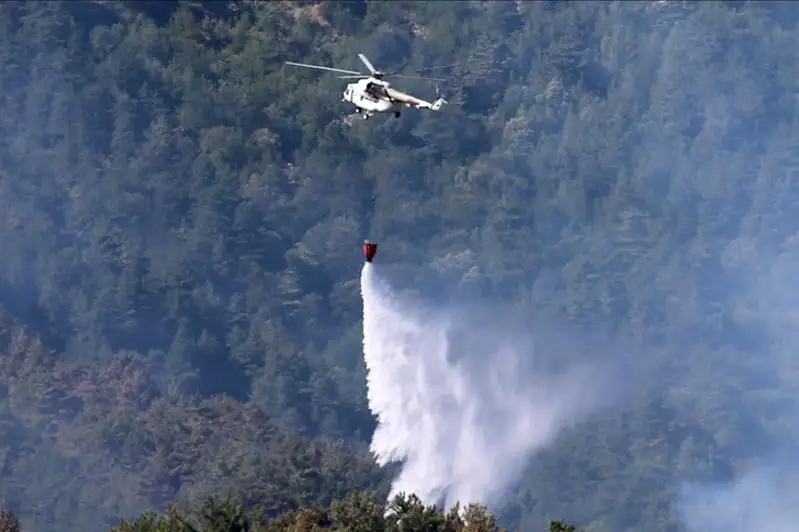 В шести провинциях Турции продолжается тушение лесных пожаров