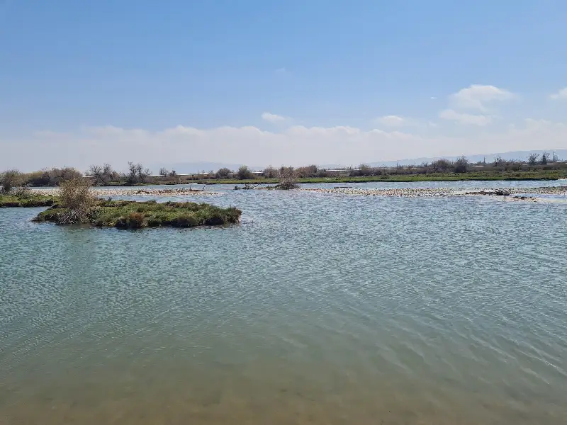 Разведку подземных вод проведут в Жамбылской области