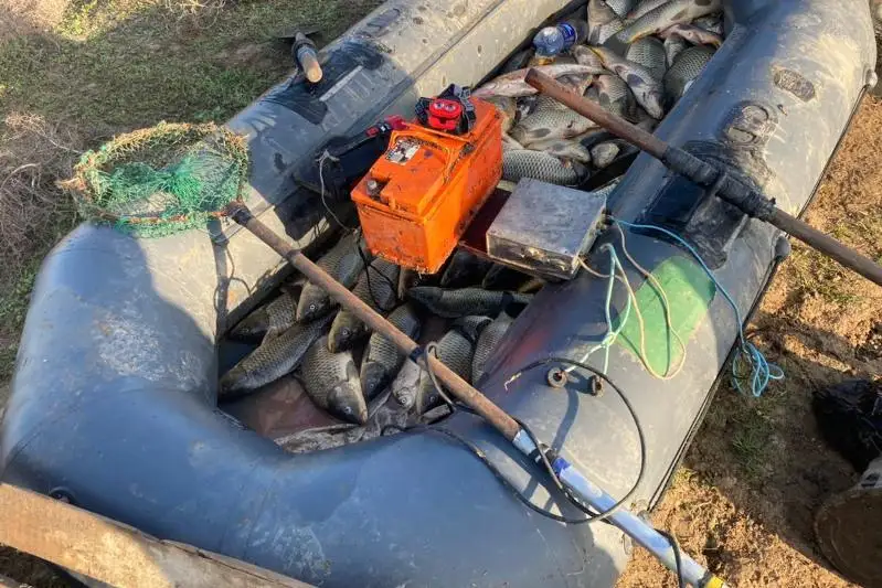 На 1,5 года ограничили свободу браконьеру за добычу сазана в Туркестанской области