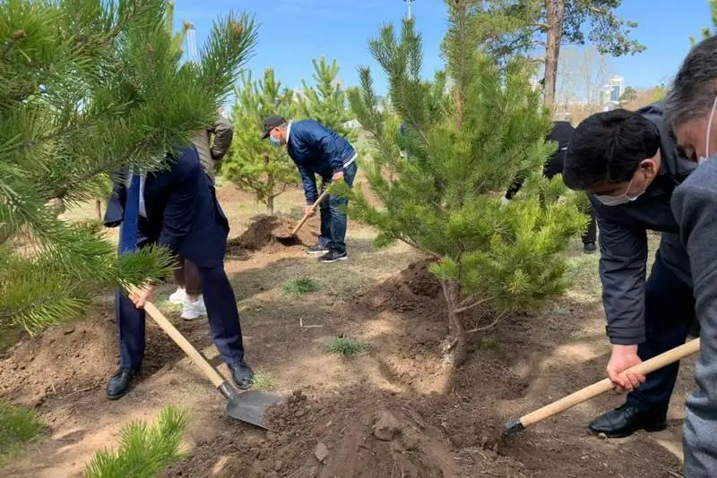 Как выполняется поручение Президента по посадке двух миллиардов деревьев